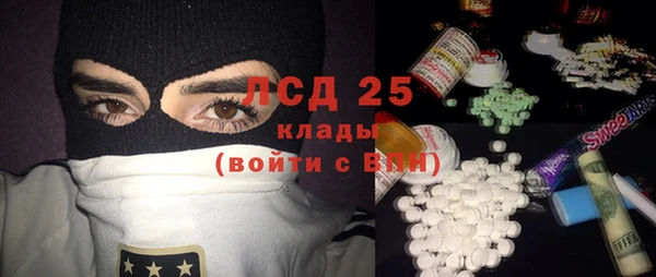гашик Алексин