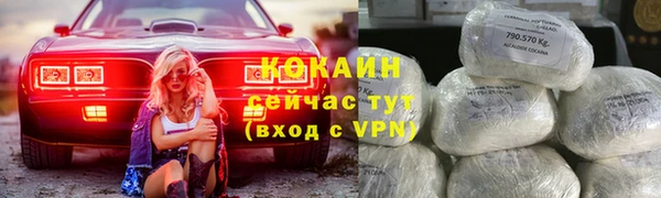 гашик Алексин
