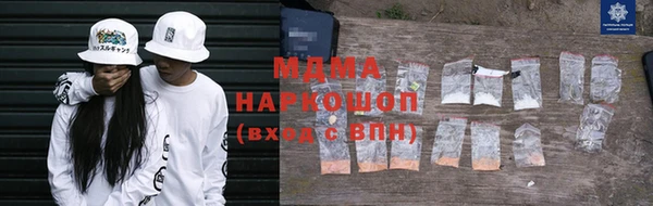 гашик Алексин