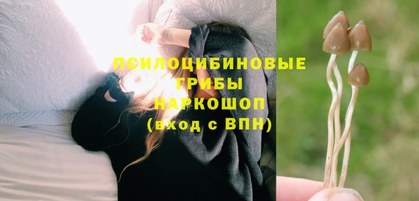 амф Алексеевка
