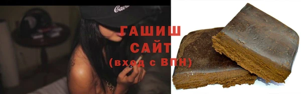гашик Алексин