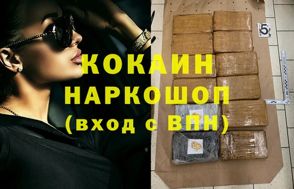 гашик Алексин