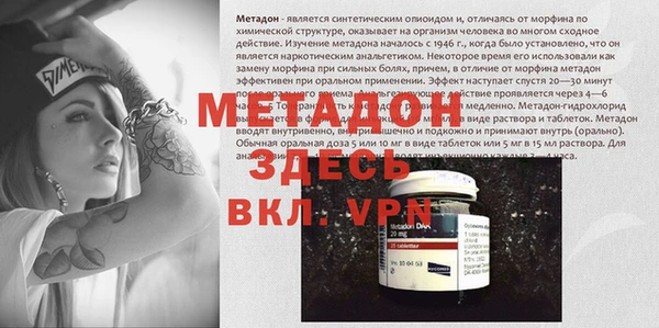 гашик Алексин