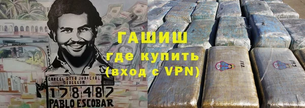 гашик Алексин