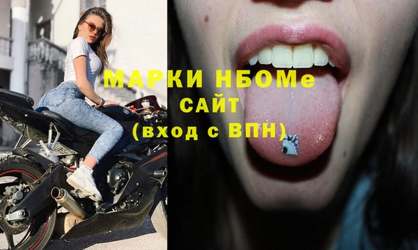 гашик Алексин
