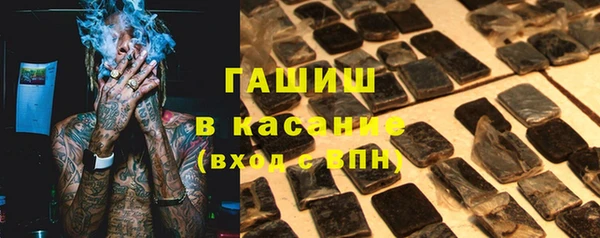 гашик Алексин