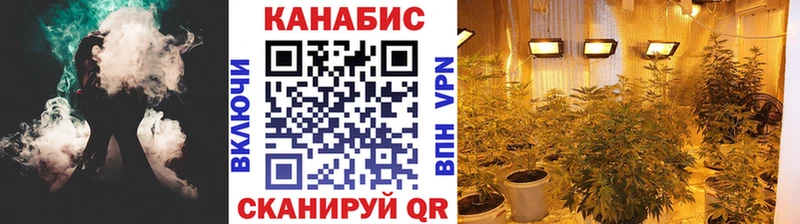наркотики  Бийск  Бошки Шишки THC 21% 
